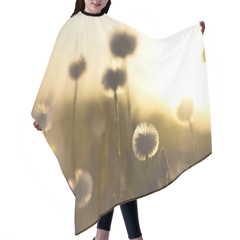 Personality  Dandelions Hair Cutting Cape