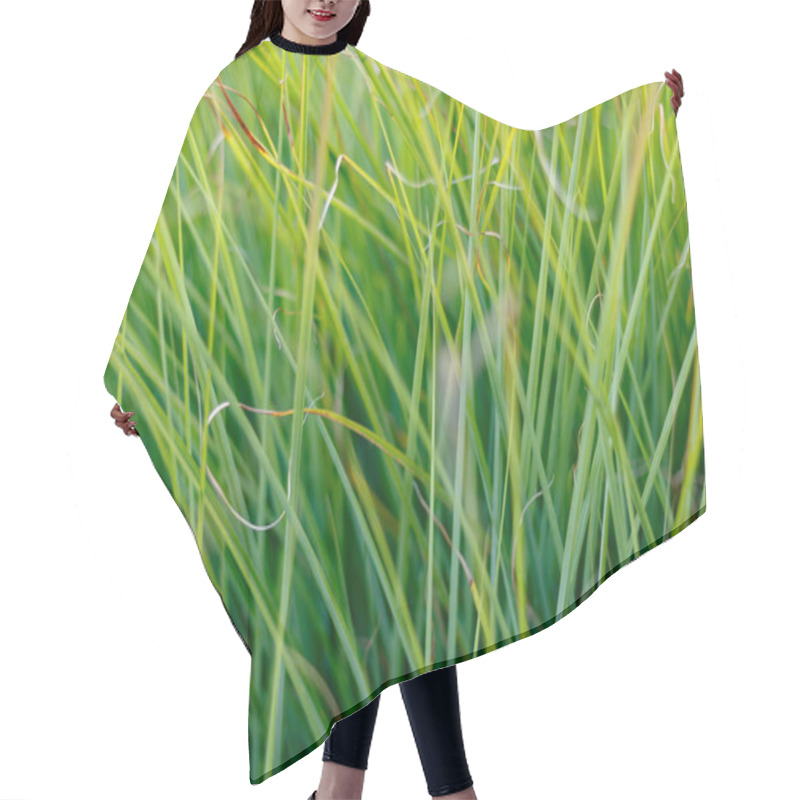 Personality  Bright Green Grass Background, Full Frame Hair Cutting Cape