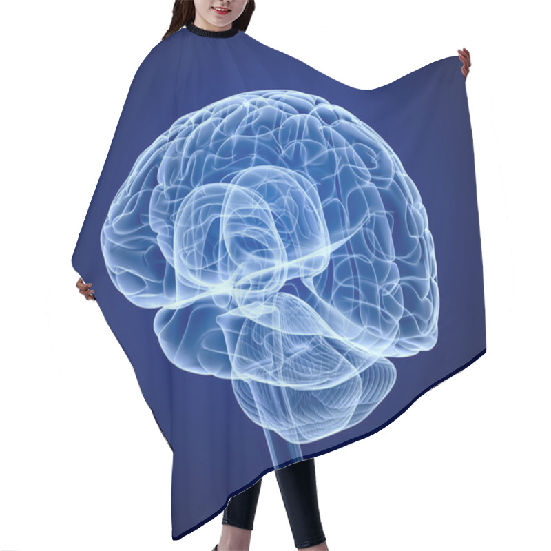 Personality  Brain Scan, X-ray Hair Cutting Cape