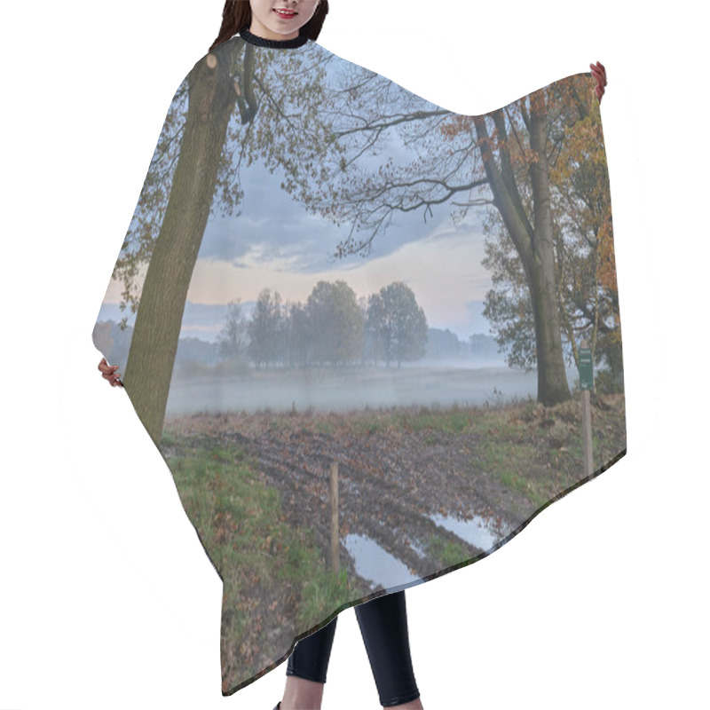 Personality  November 11, 2023 - The Netherlands: A Serene Autumn Morning At Landgoed Vossenberg, Drenthe, Featuring Misty Meadows, Scattered Trees, And Muddy Tracks With Reflective Puddles. Hair Cutting Cape