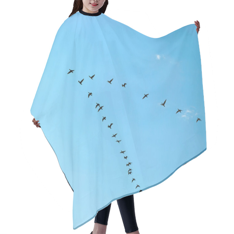 Personality  Silhouette Of Flying Birds Hair Cutting Cape