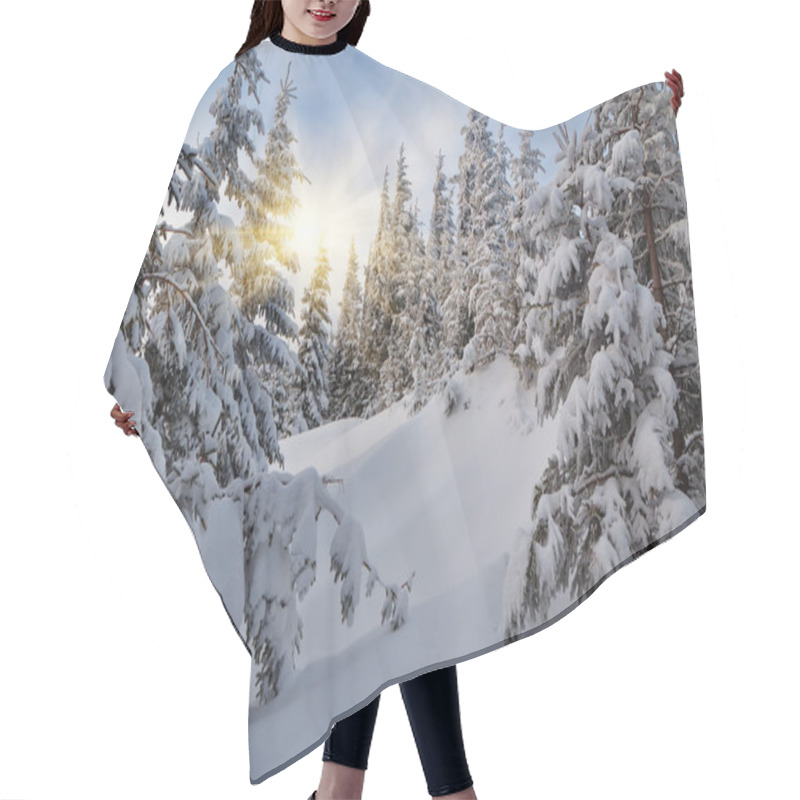 Personality  Winter Evening Hair Cutting Cape