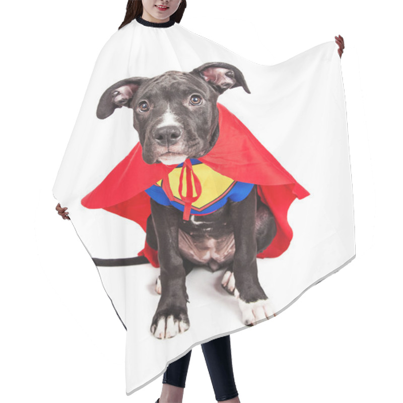 Personality  Superhero Puppy Dog Wearing Vest Hair Cutting Cape