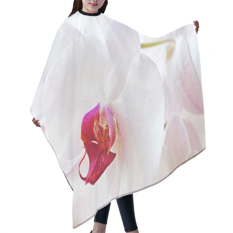 Personality  White Orchid Flowers Hair Cutting Cape