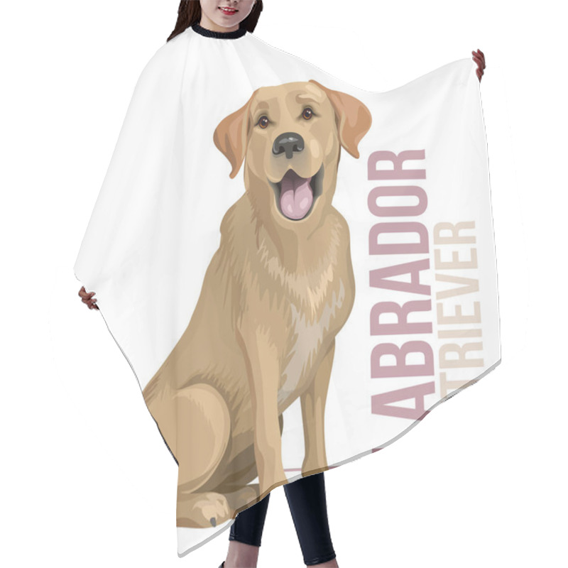 Personality  Happy Black Labrador Retriever Sitting On White Background Hair Cutting Cape