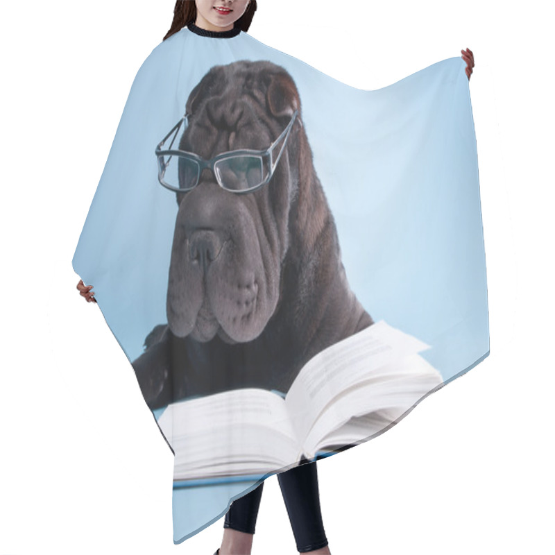 Personality  Black Shar-pei Reading A Book Hair Cutting Cape