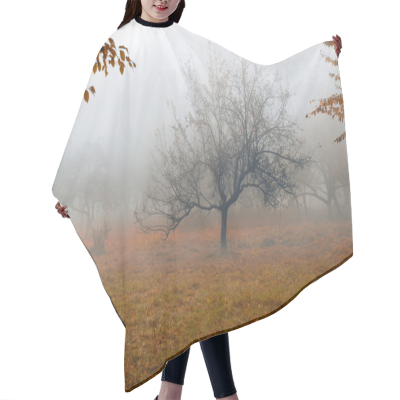 Personality  Tree In A Fog. Hair Cutting Cape