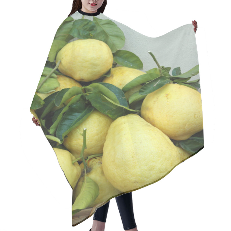 Personality  Basket Of Fresh Lemons Hair Cutting Cape