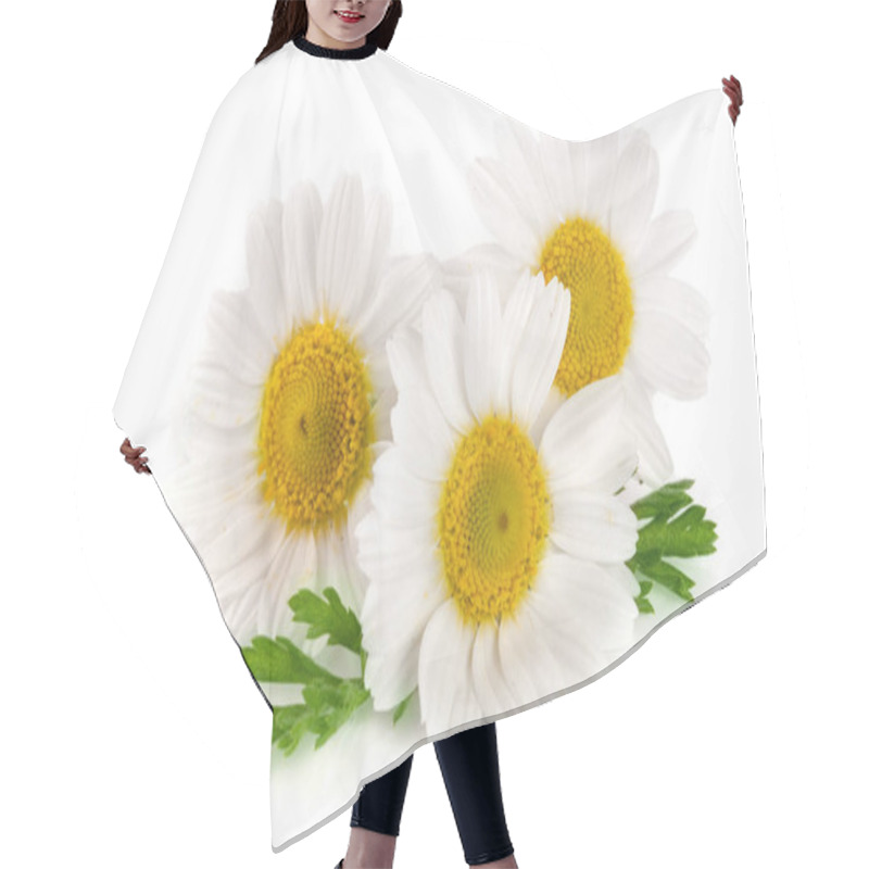 Personality  Three Chamomile Or Daisies With Leaves Isolated On White Background Hair Cutting Cape