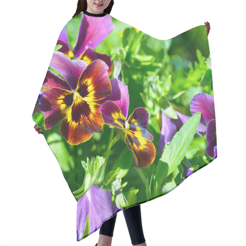 Personality  Beautiful Yellow Purple Blue Violet Pansies Flower Plant Hair Cutting Cape