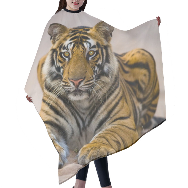 Personality  Young Tiger Outdoors Hair Cutting Cape