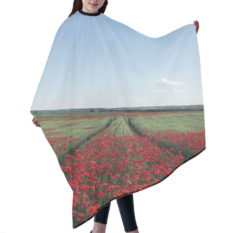 Personality  Scenic View Of Blossoming Poppy Flowers With Pleasant Aroma Growing On Farmland Under Cloudy Sky In Daytime Hair Cutting Cape