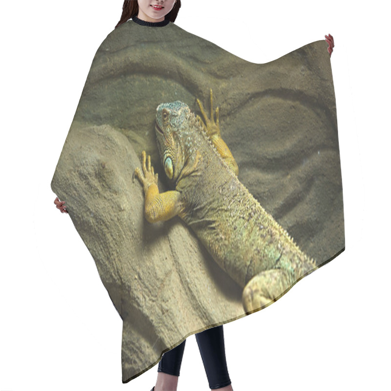 Personality  Green Iguana Hair Cutting Cape