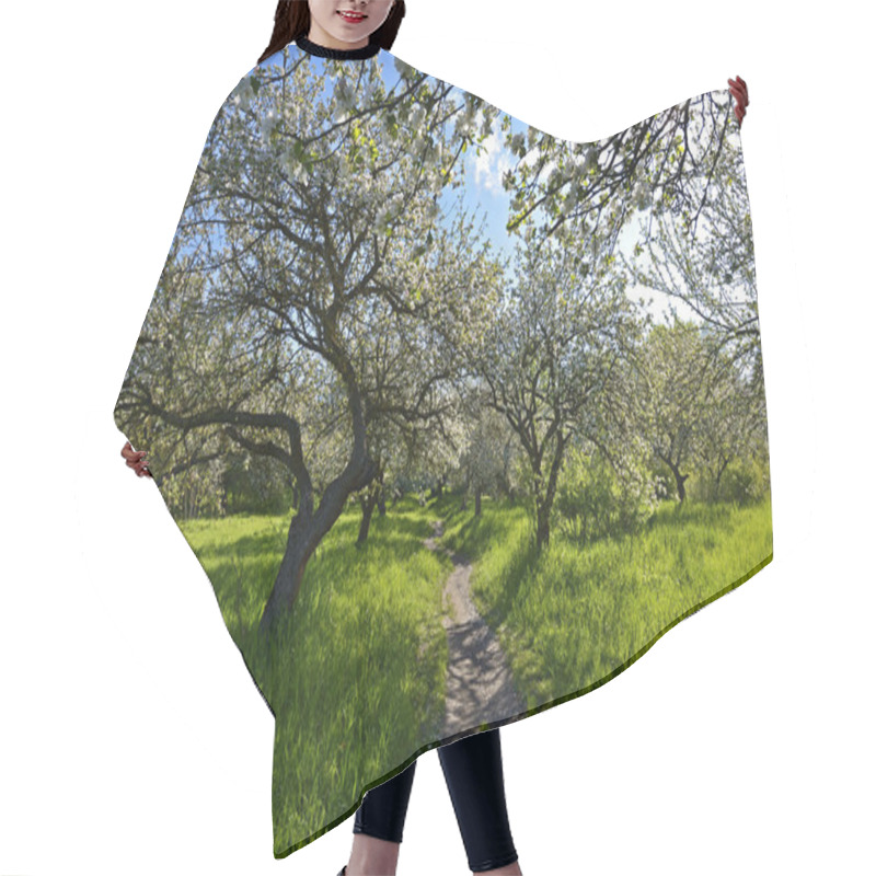 Personality  Apple Blossoms Hair Cutting Cape