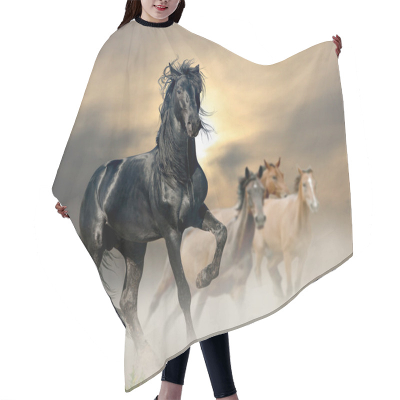 Personality  Black Stallion Hair Cutting Cape