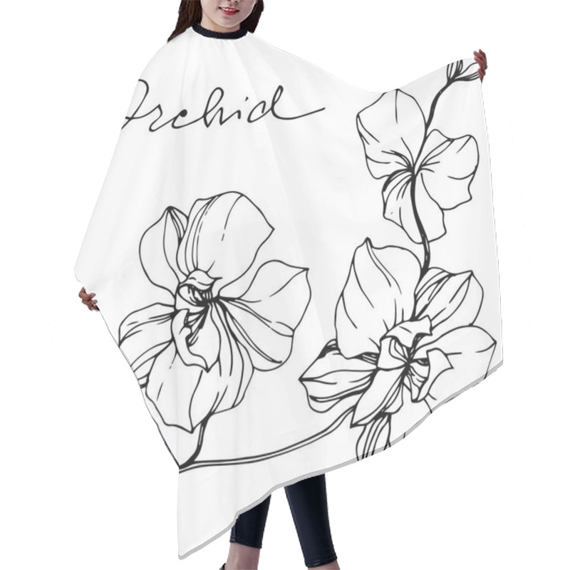 Personality  Vector Monochrome Orchids With Orchid Lettering Isolated On White. Engraved Ink Art. Hair Cutting Cape