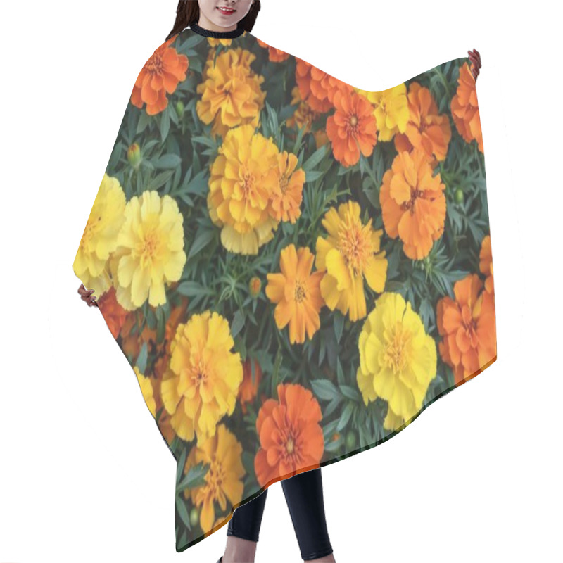 Personality  Vibrant Marigolds In Shades Of Orange, Yellow, And Gold Create A Cheerful Floral Display. Hair Cutting Cape