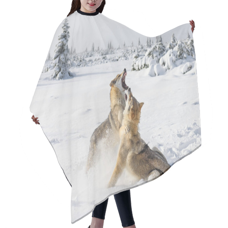 Personality  Wolves In The Snow Hair Cutting Cape