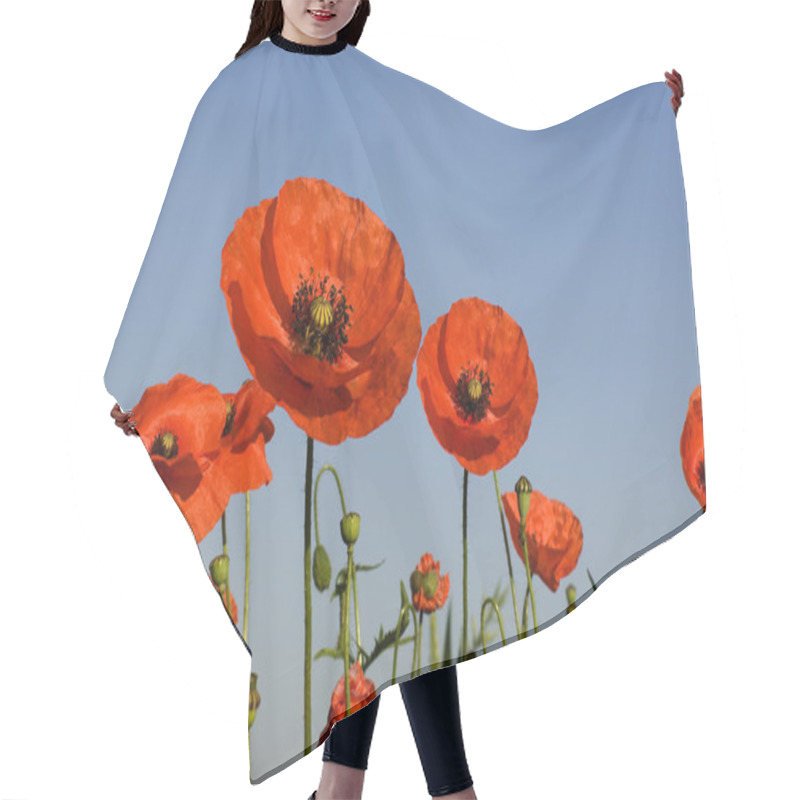 Personality  Poppies Hair Cutting Cape