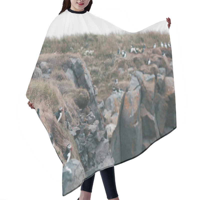 Personality  Puffins Birds Hair Cutting Cape