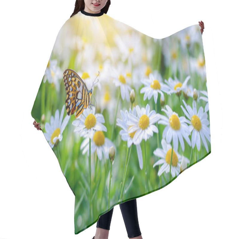 Personality  The Yellow Orange Butterfly Is On The White Pink Flowers In The Green Grass Fields Hair Cutting Cape