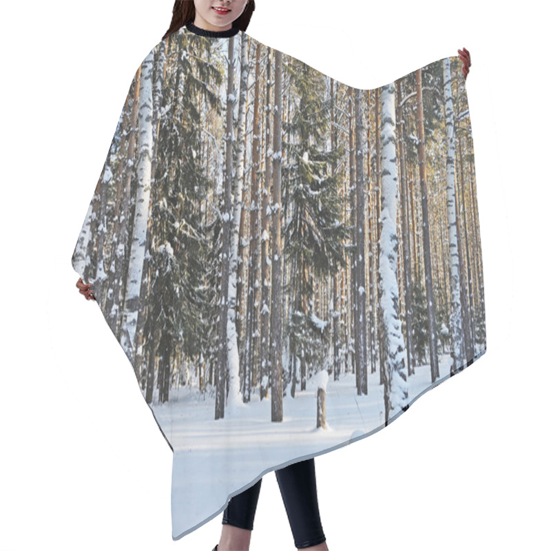 Personality  Birches And Firs Under Snow In Winter Forest Hair Cutting Cape