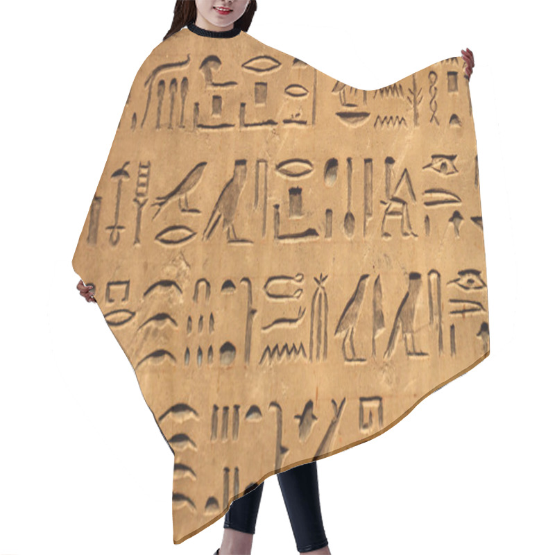 Personality  Hieroglyphics Hair Cutting Cape