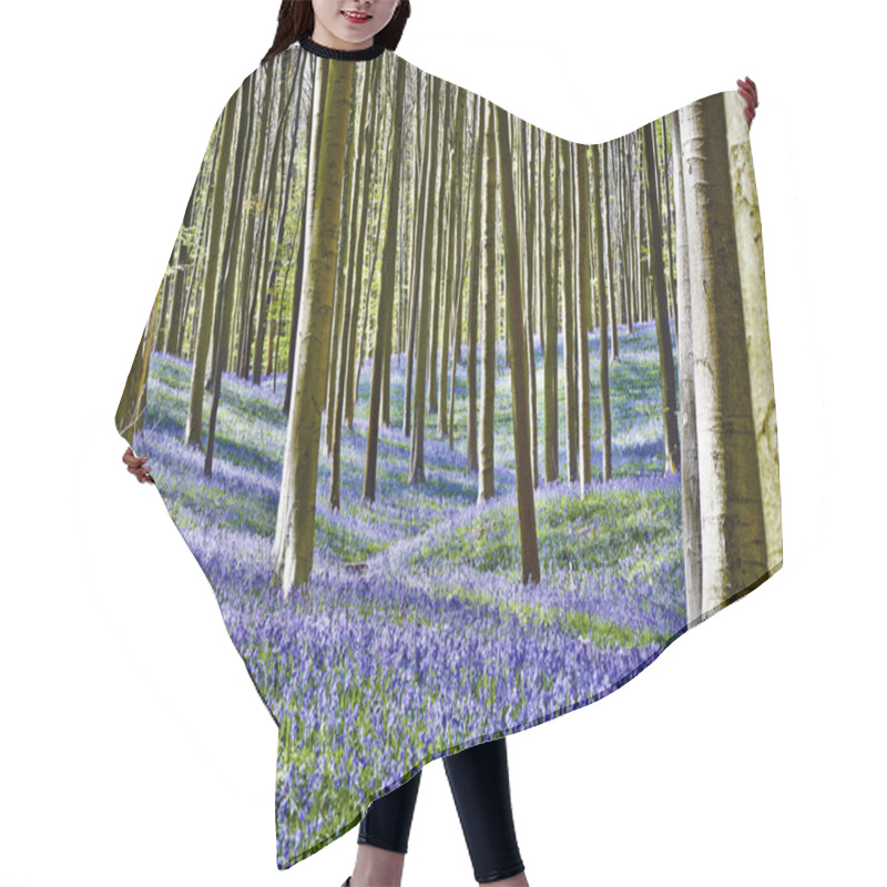 Personality  Magical Morning  In Forest Of Halle With Bluebell Flowers Hair Cutting Cape