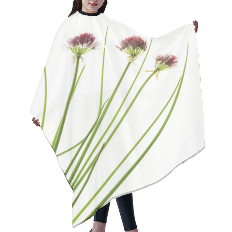 Personality  Fresh Chive Hair Cutting Cape