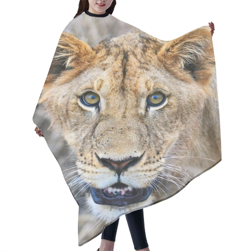 Personality  Masai Mara Lions Hair Cutting Cape