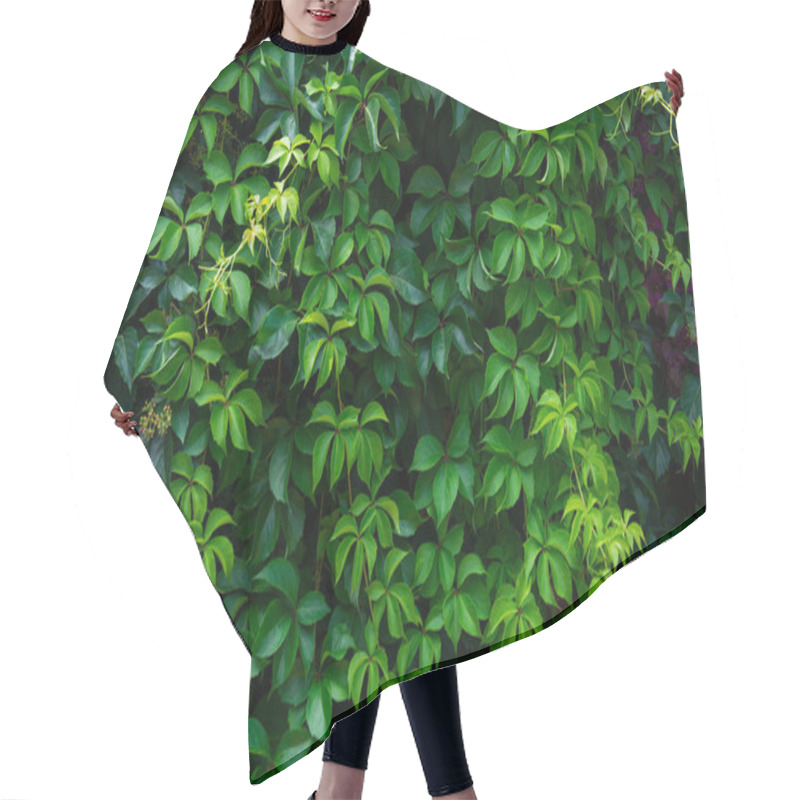 Personality  Wild Grape Green Wall Hair Cutting Cape