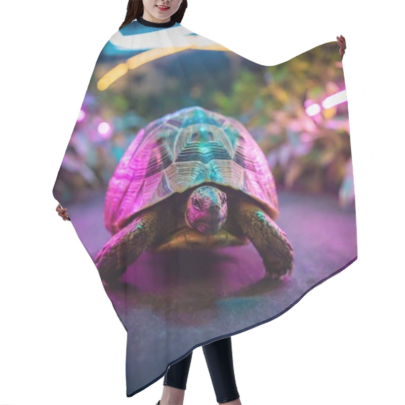 Personality  A Cybernetic Tortoise Crawling Slowly Through A Neon Garden, Its Shell Adorned With Glowing Patterns That Mimic Natural Designs. Full Shot (FS), Tilt-Shift, Eye Level Shot Hair Cutting Cape