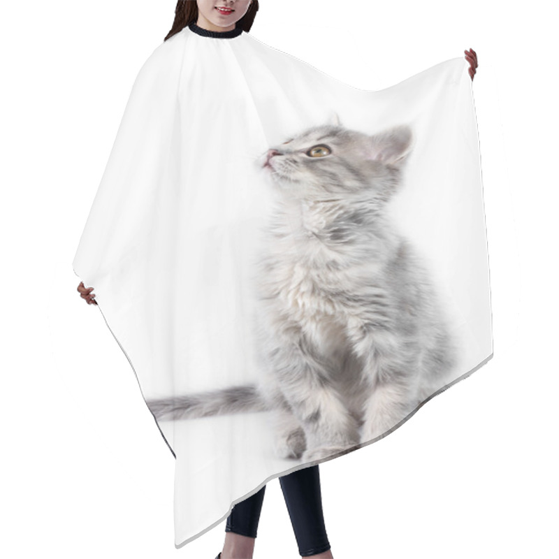 Personality  Grey Kitten Hair Cutting Cape