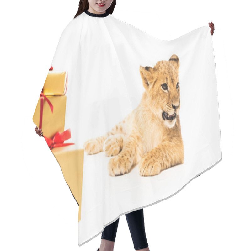 Personality  Cute Lion Cub Near Golden Gifts With Red Ribbons Isolated On White Hair Cutting Cape