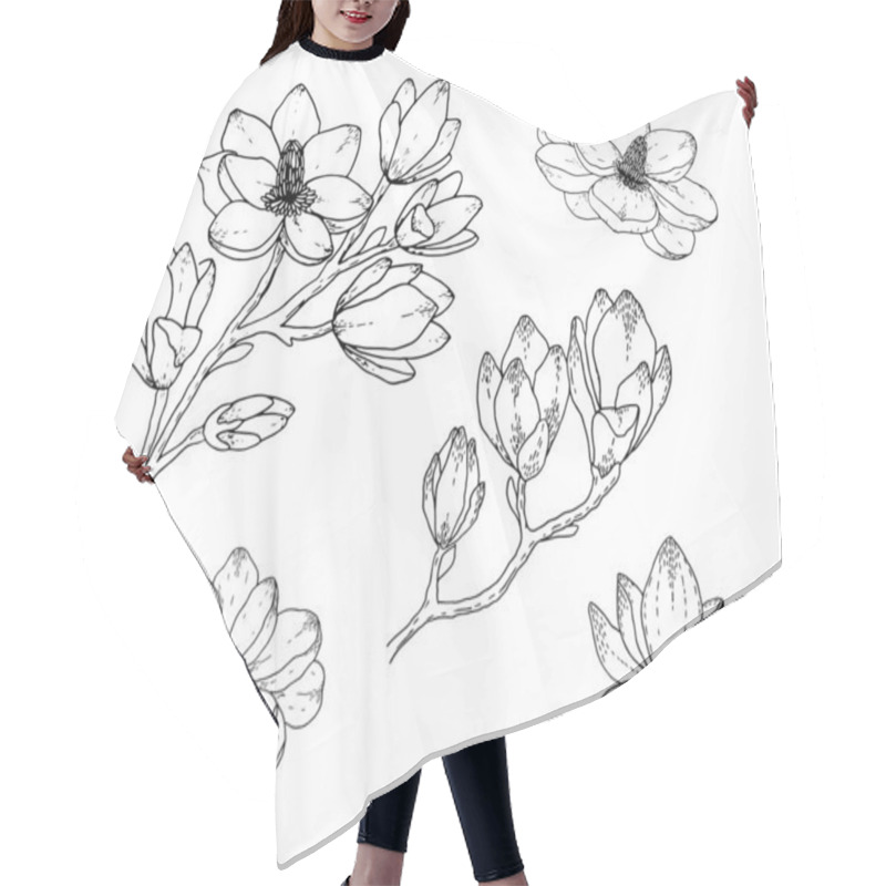 Personality  Magnolia Flower Drawings. Black And White With Line Art On White Backgrounds. Hand Drawn Botanical Illustrations. Hair Cutting Cape