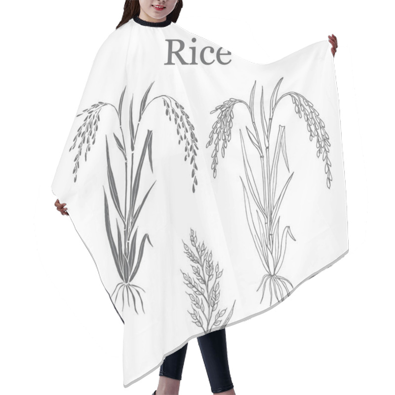 Personality  Rice Plant Vector Illustration Hair Cutting Cape