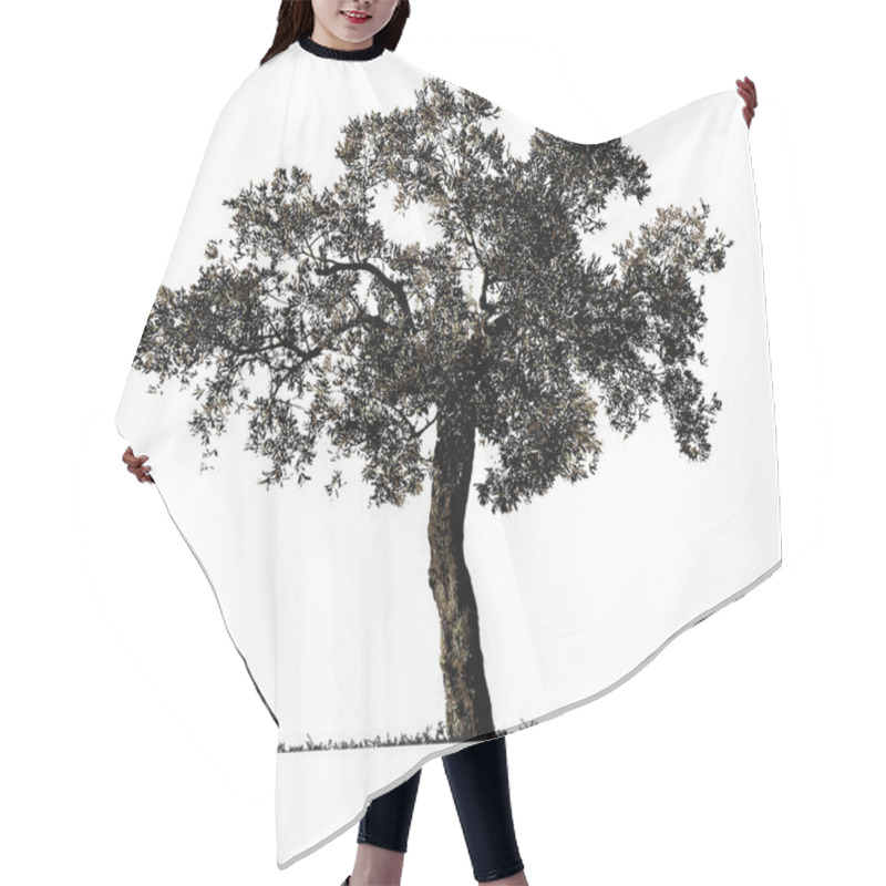 Personality  Olive Tree Silhouette. Hair Cutting Cape