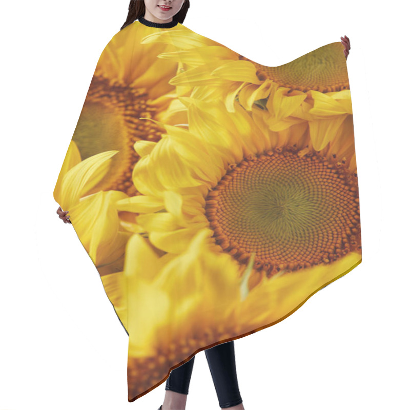 Personality  Summer Texture With Yellow Fragrant Sunflowers Hair Cutting Cape