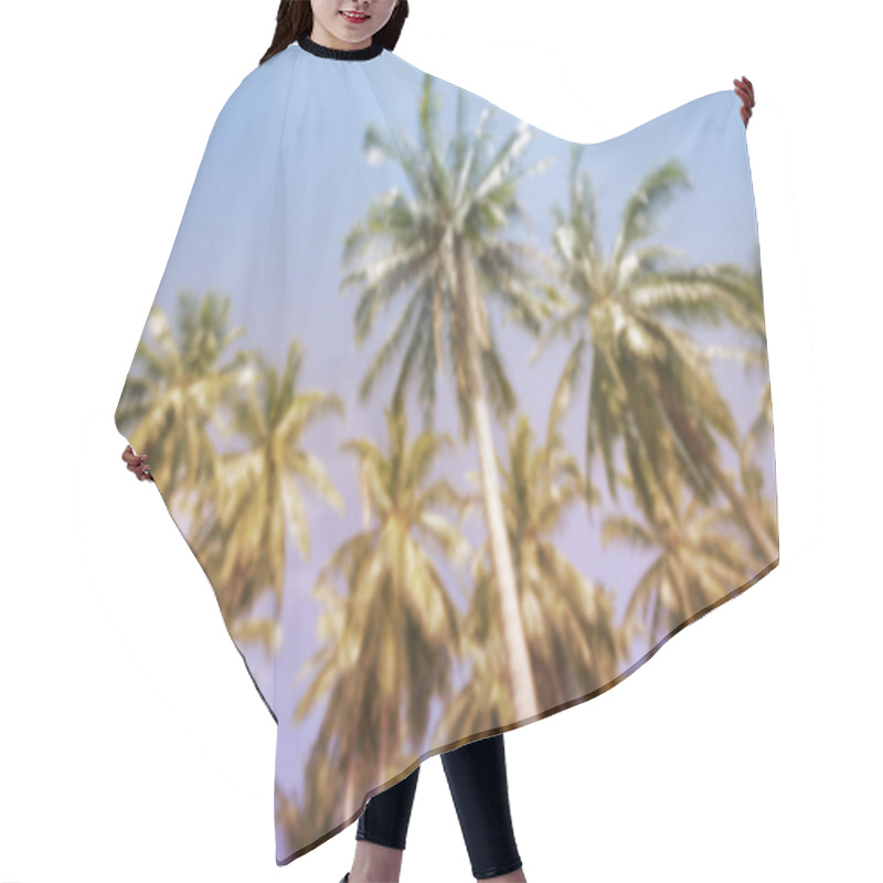 Personality  Palm Trees On Beautiful Tropical Island Hair Cutting Cape