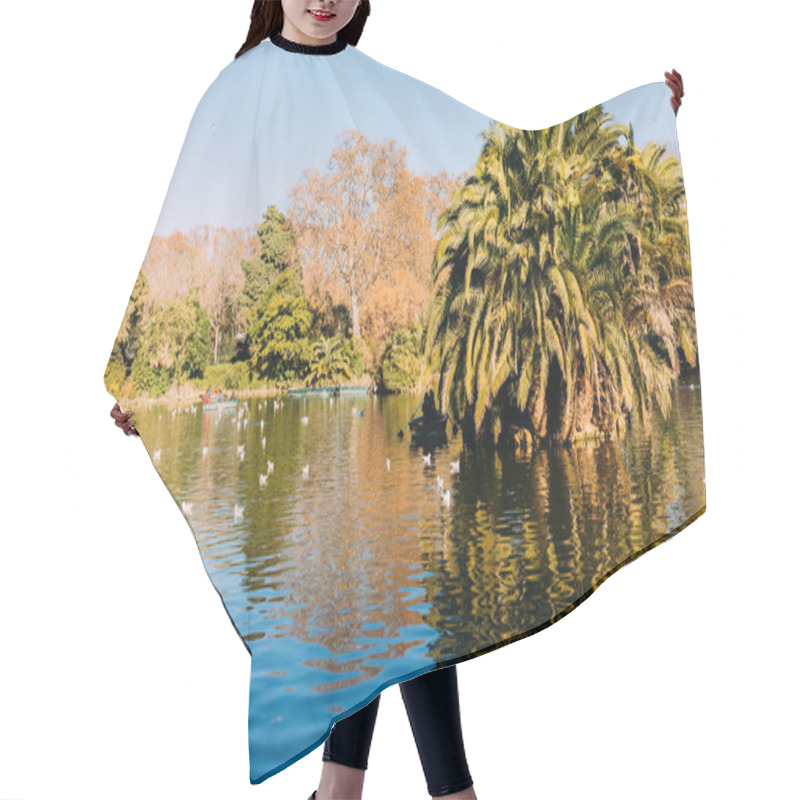 Personality  Scenic View Of Lake With Lush Palm Trees In Parc De La Ciutadella, Barcelona, Spain Hair Cutting Cape