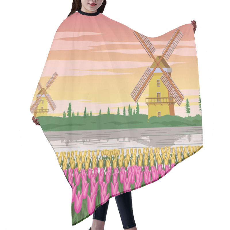 Personality  Tulip Garden,famous Symbol Of Holland And Wind Mill Around With  Hair Cutting Cape