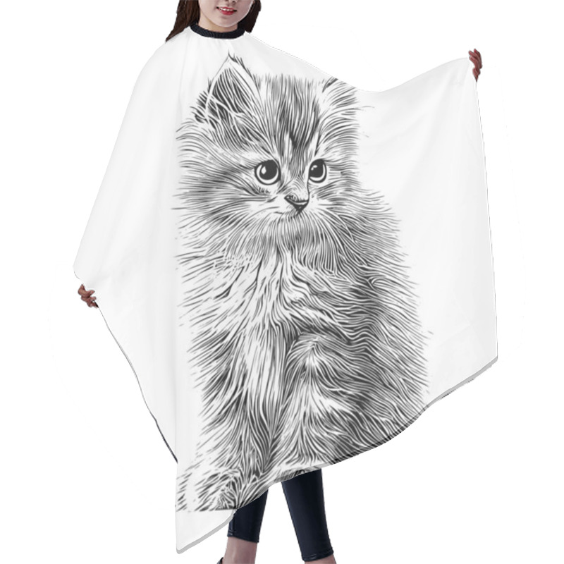 Personality  Small Fluffy Kitten Sketch Hand Drawn Engraved Style Vector Illustration.. Hair Cutting Cape