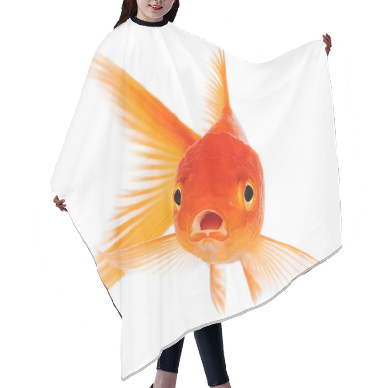 Personality  Goldfish Hair Cutting Cape