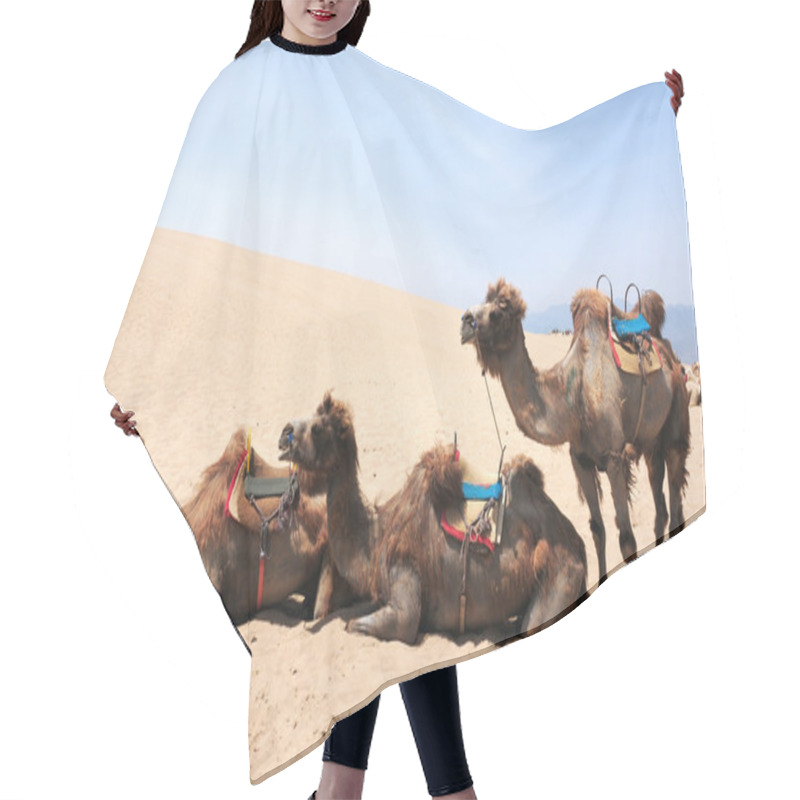 Personality  Camels In The Deserts Hair Cutting Cape