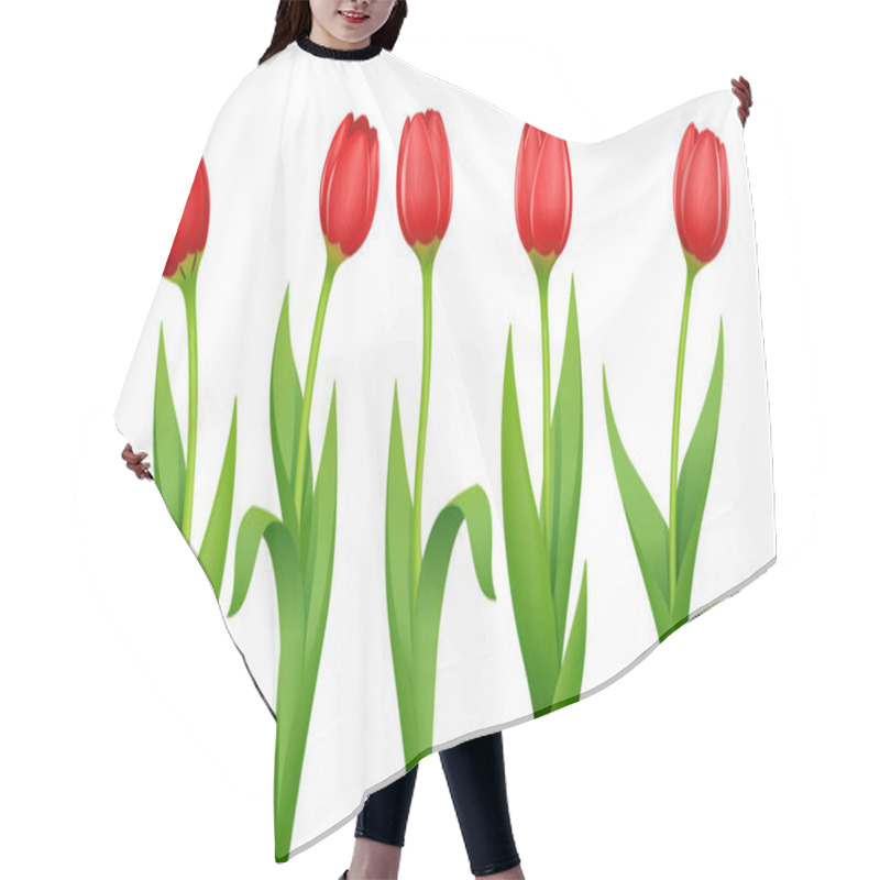 Personality  Tulip. Decorative Garden Spring Flower. Vector Illustration. Hair Cutting Cape