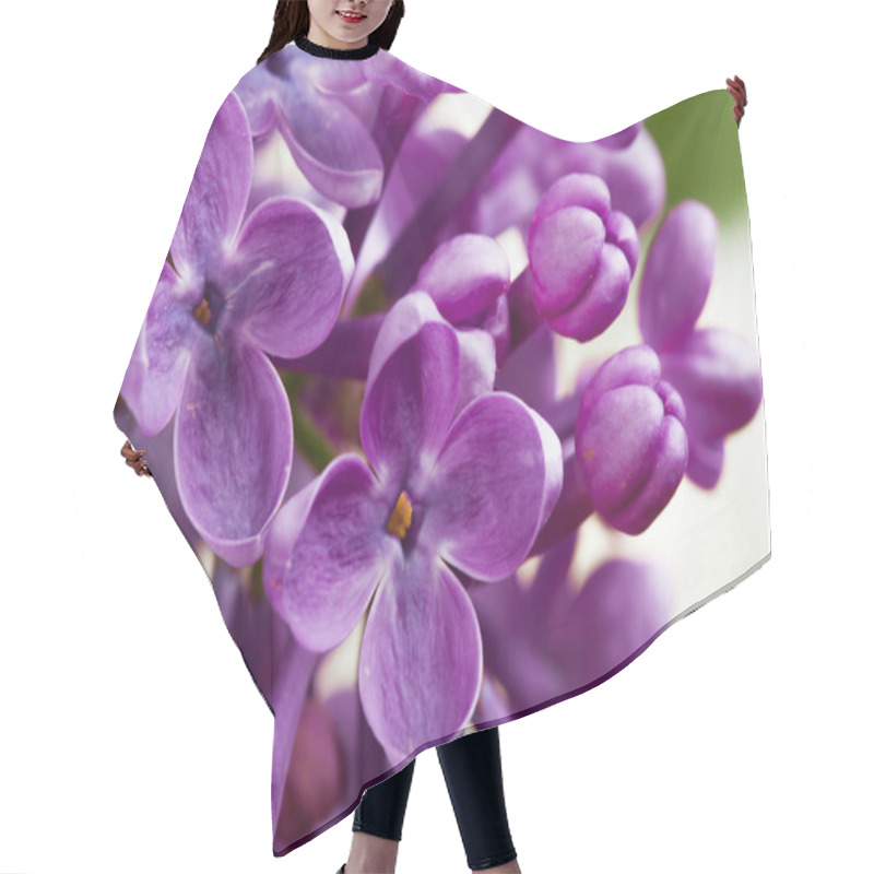 Personality  Macro Image Of Spring Lilac Violet Flowers Hair Cutting Cape