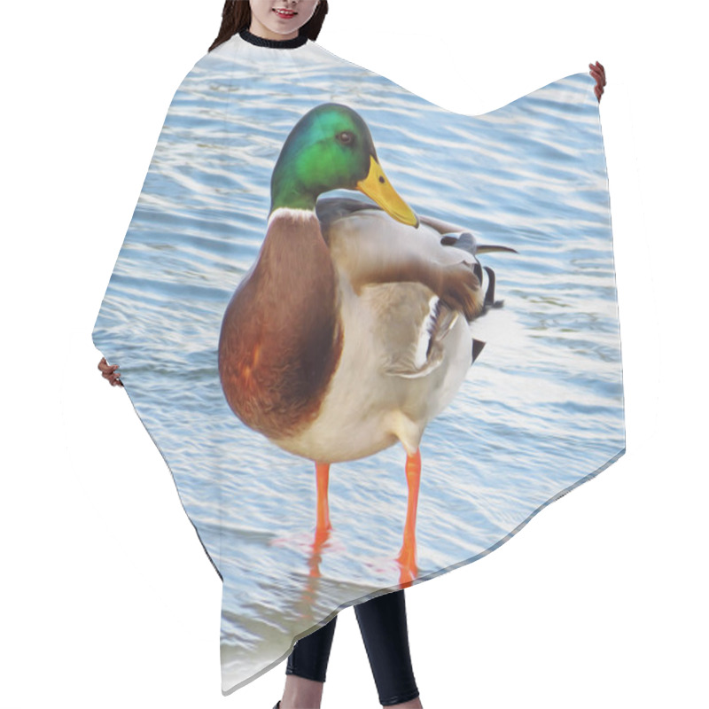 Personality  Mallard Painting - Wild Duck Painting Hair Cutting Cape