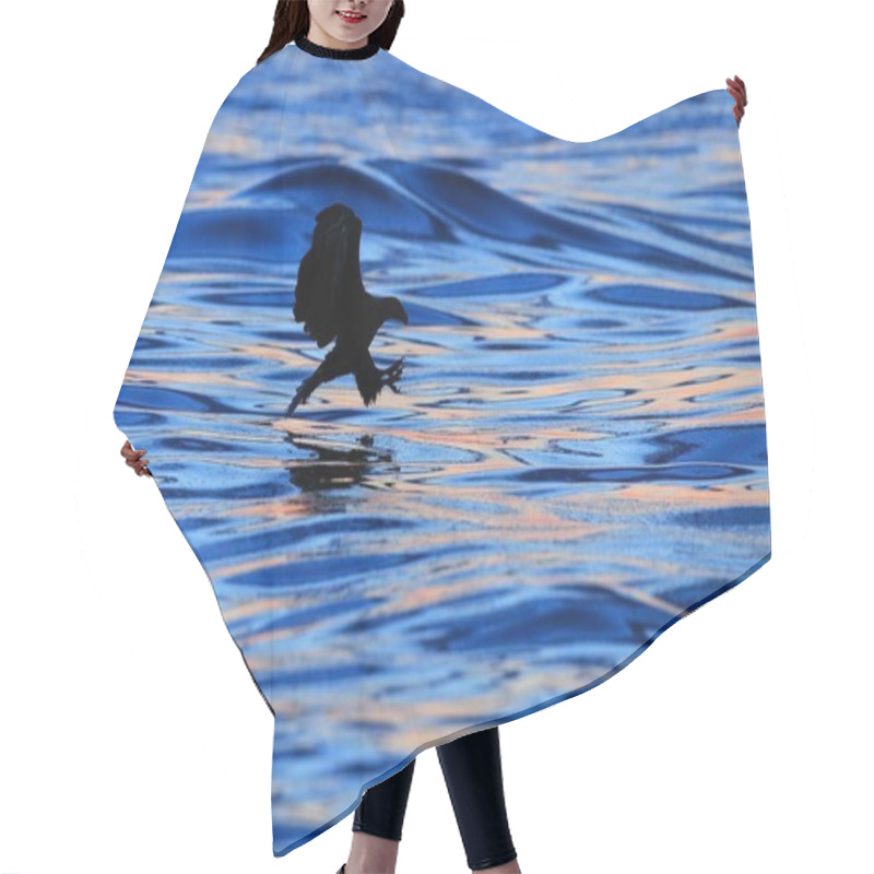 Personality  Eagle Flying Above Sea Hair Cutting Cape