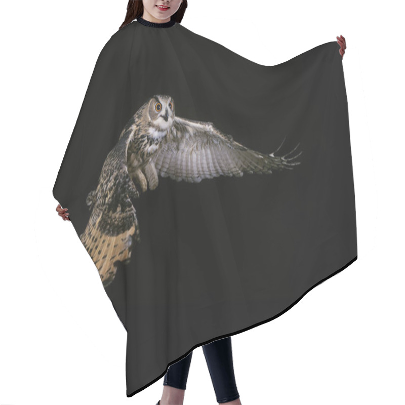 Personality  European Eagle Owl, Asio Otus, Adult In Flight   Hair Cutting Cape