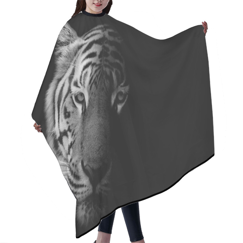 Personality  Black & White Beautiful Tiger - Isolated On Black Background Hair Cutting Cape